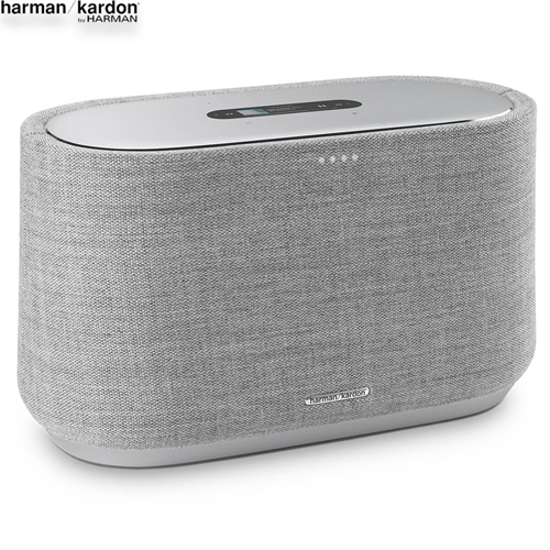 Loa Harman Kardon Citation 300 3